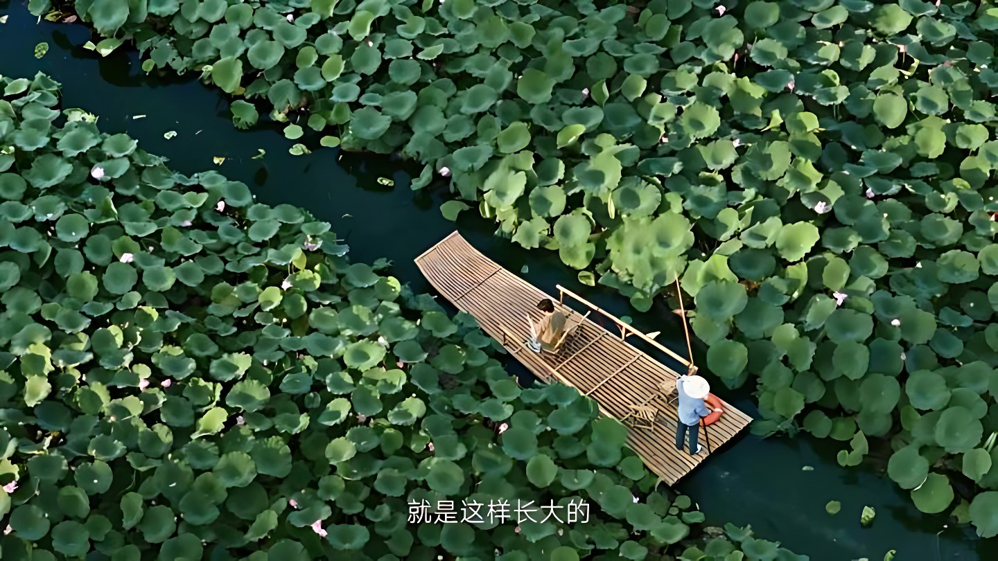 小米 · 生活总有新预期 — 14