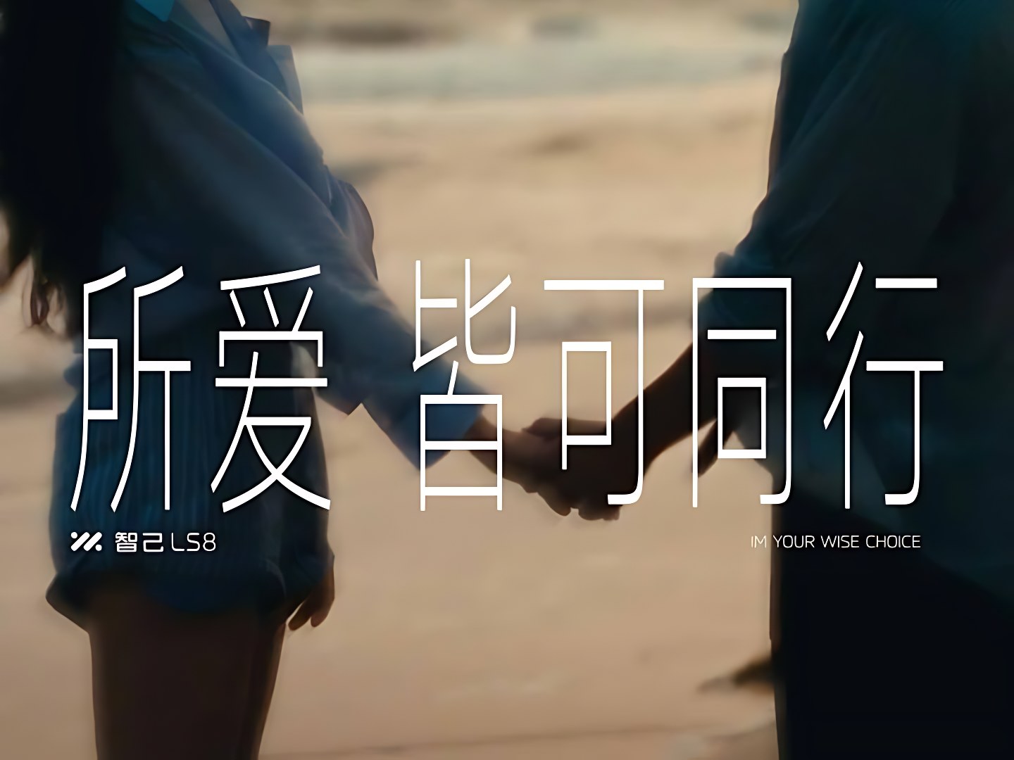 IM 智己 LS8 · 所爱皆可同行 — 12