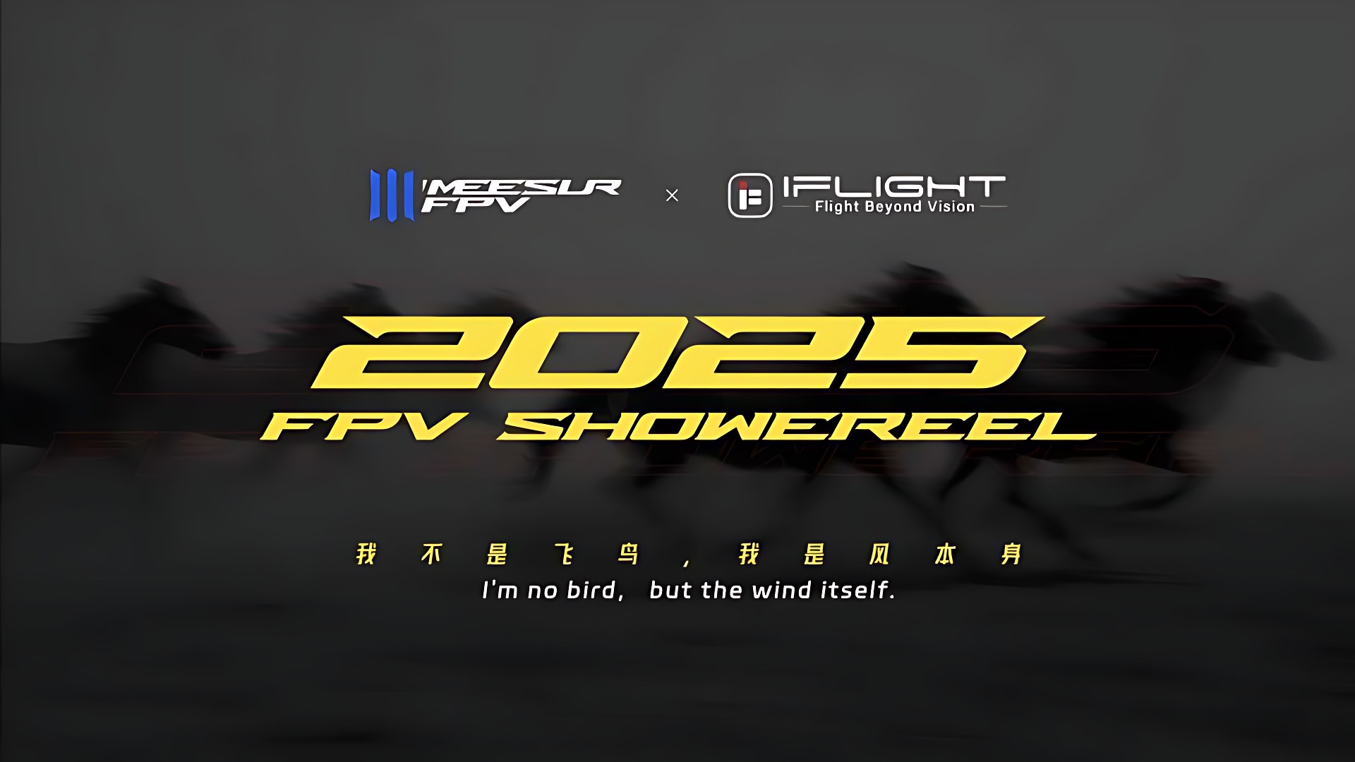 2025｜穿越机年度集锦FPV SHOWEREEL